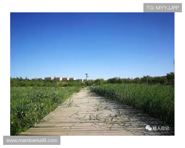 跑得快的心态及技巧分享，帮助你在生活和事业中不断前行