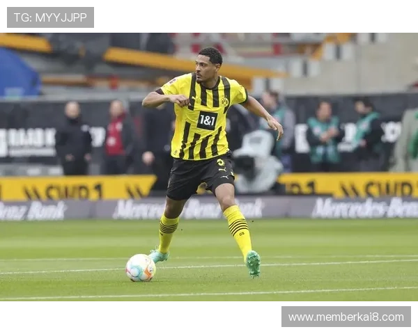 K8凯发手机版下载指南，帮助新手快速上手高效体验精彩赛事