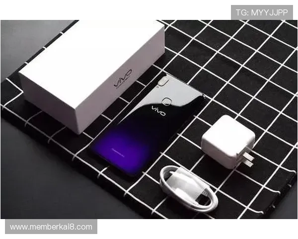 凯发九游娱乐手机登录安全保障与便捷操作指南，助你轻松畅玩游戏体验