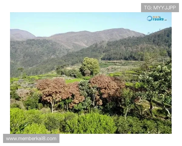 凯发娱乐娱乐官网入口优化界面设计，提升用户操作体验实现便捷娱乐