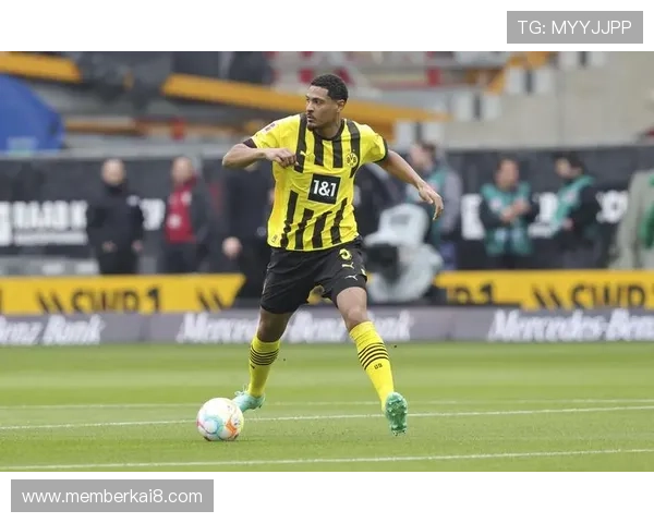 k8凯发国际官网的最新赛事信息及参与指南详尽解析